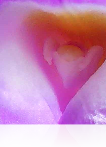 Austin Fine Art Gallery